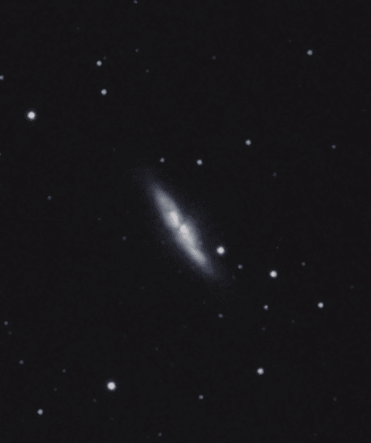 M82