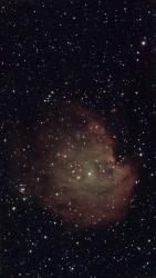 NGC 2175